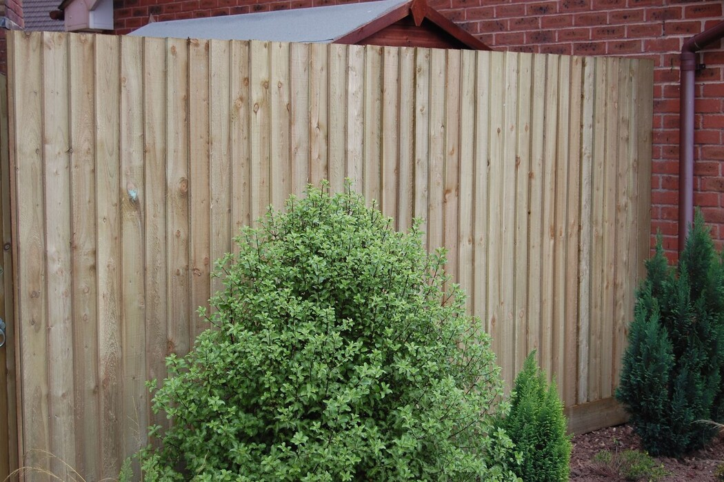 Feather Edge Fencing - Weymouth