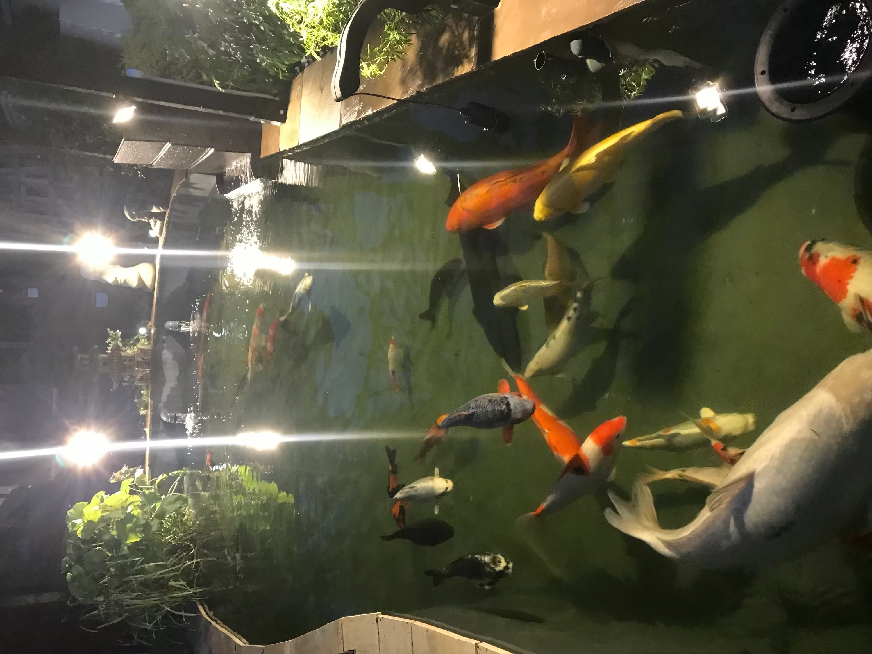 Pond Installation features and specifications