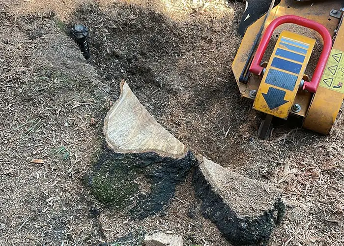 Stump Grinding