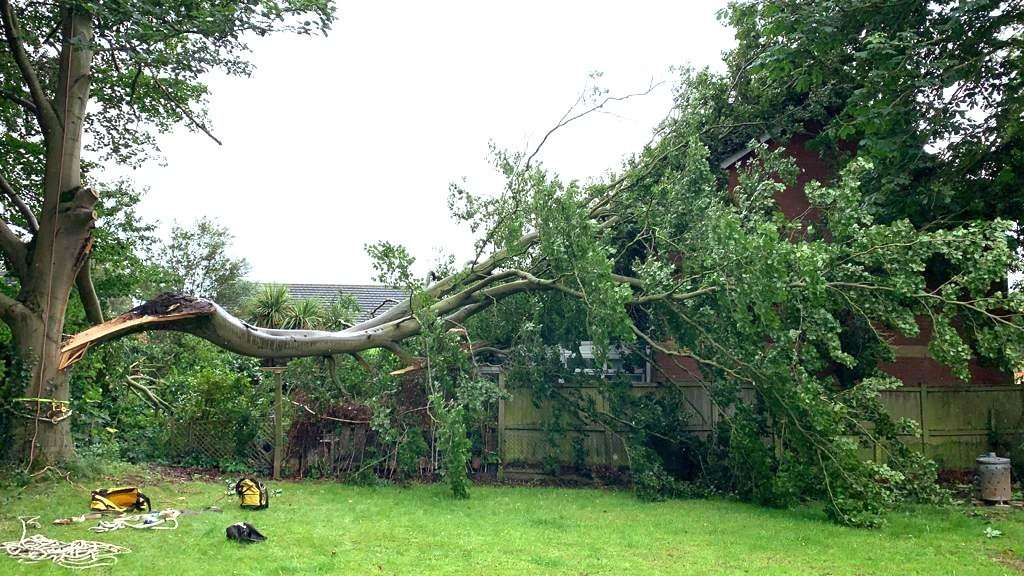 Emergency Storm Damage