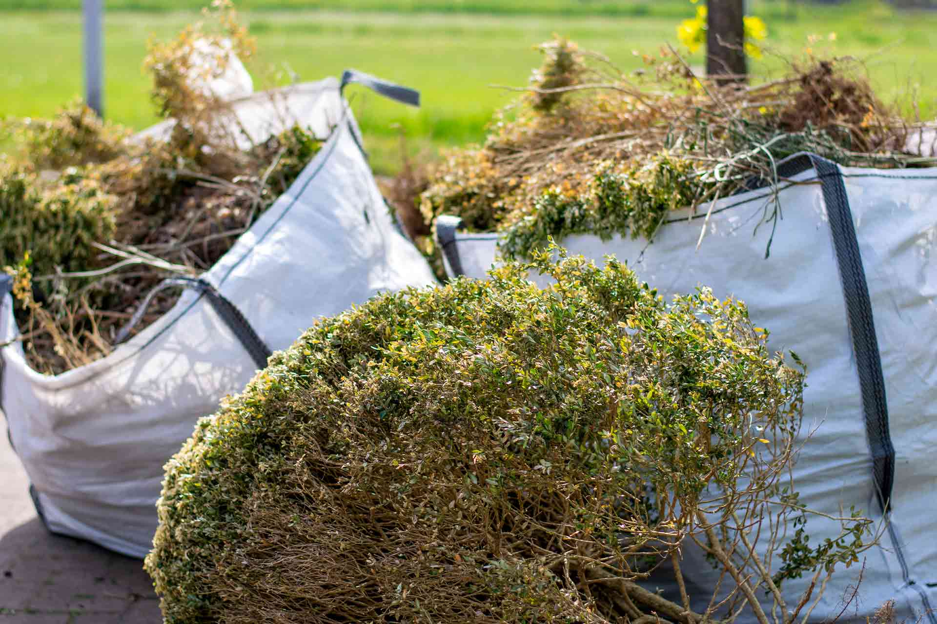 Waste Clearances