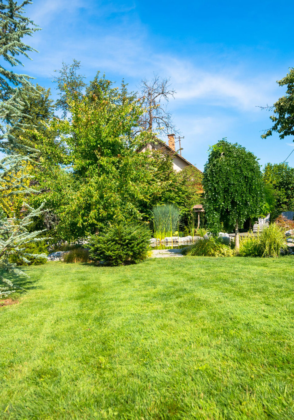 Garden Landscaping Blandford Forum
